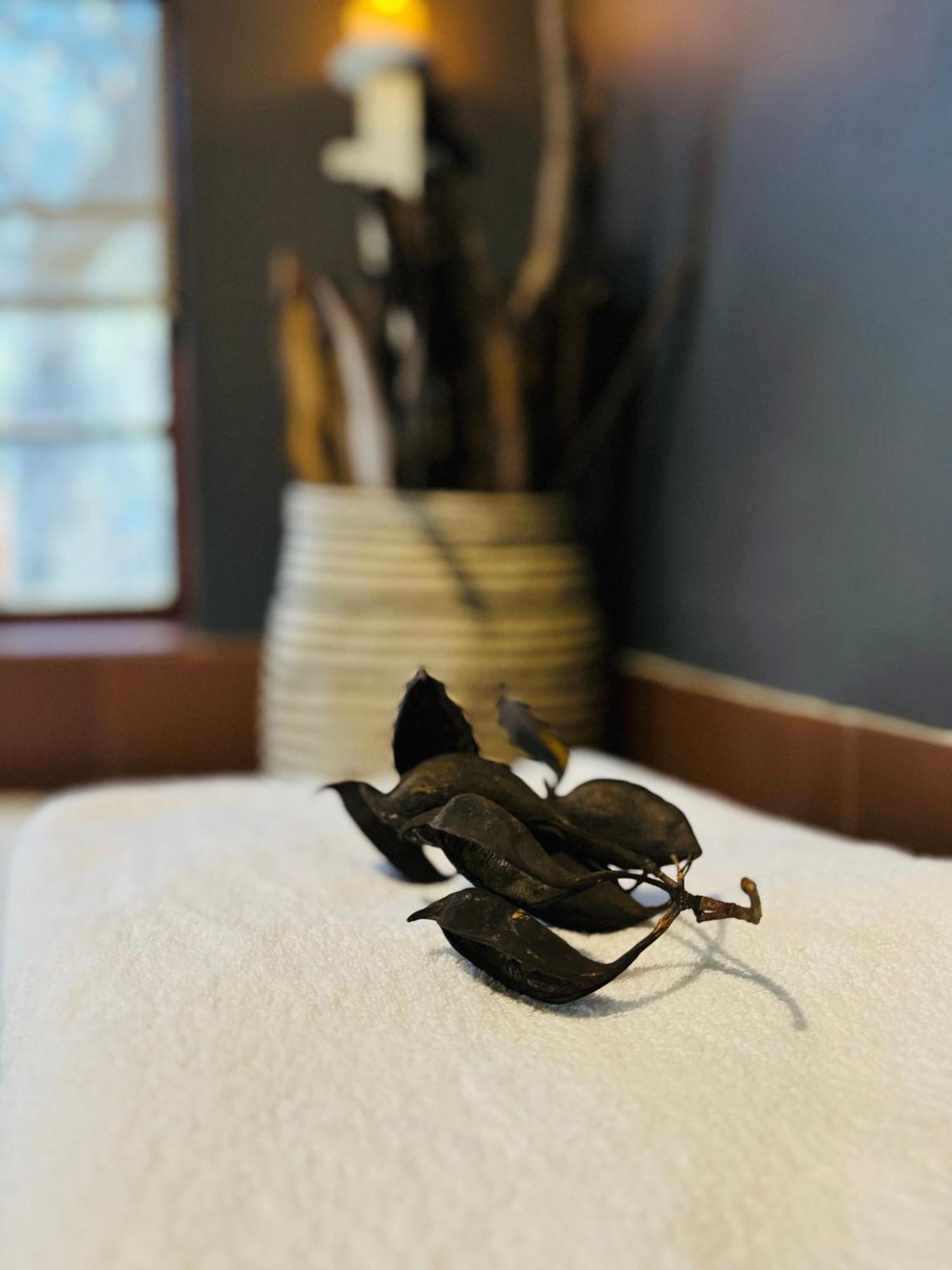 Megumi - Vaal Riverside Retreat - Loadshedding Friendly Parys Kültér fotó